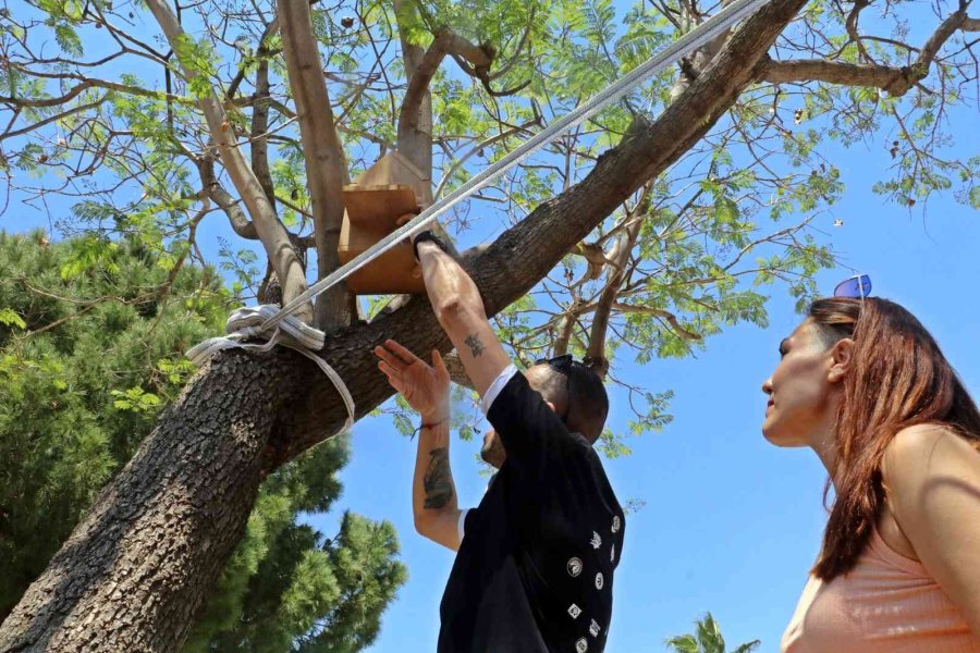 Üniversiteli Öğrenciler, Yerleşkedeki Sokak Hayvanlarını Unutmadı