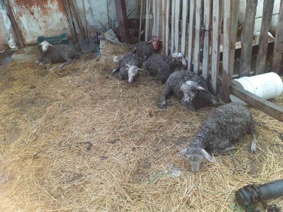 Antalya’da 2 Mahallede Sağanak Yağış Sonrası Su Baskınları Oluştu