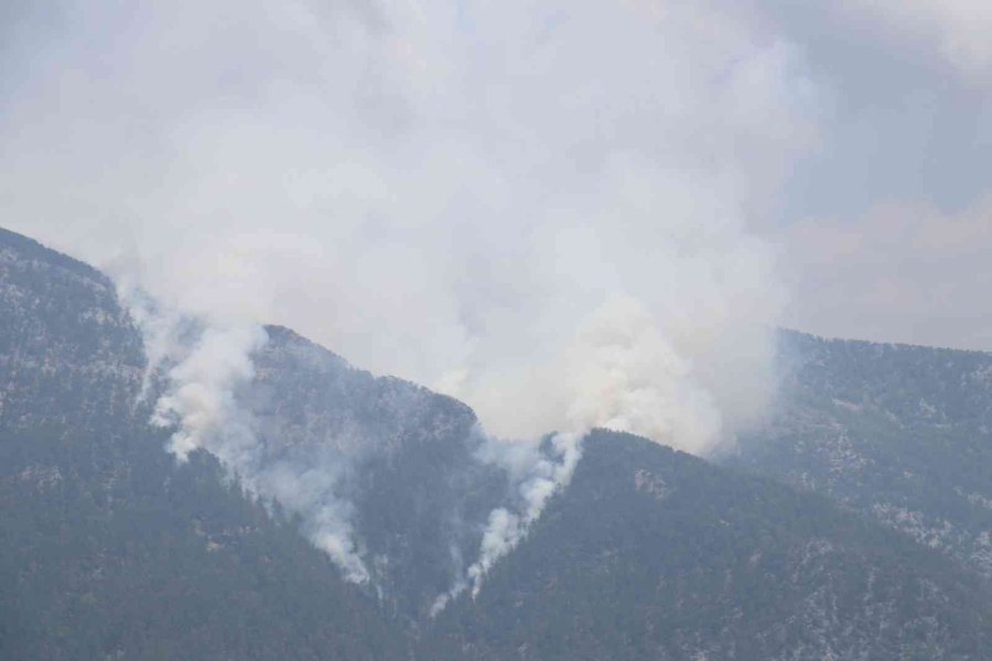 Alanya’da Orman Yangını