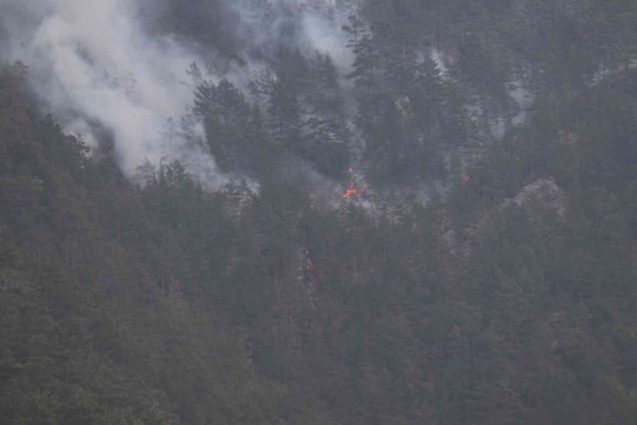 Alanya’daki Orman Yangını Kısmen Kontrol Altına Alındı
