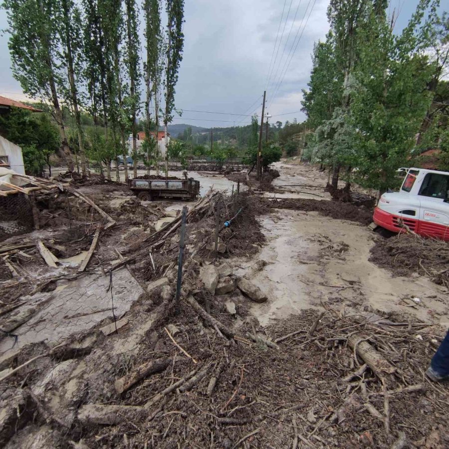 Antalya’da Selde 48 Küçükbaş Hayvan Telef Oldu