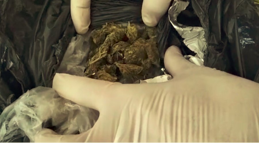 Uyuşturucular Ekmeklerin Arkasından Çıktı