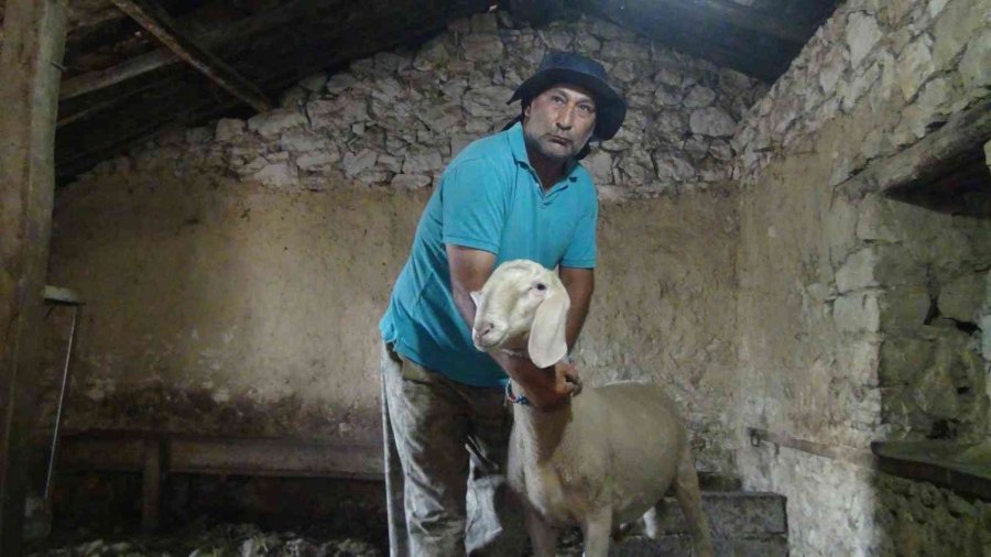 Hırsızlığa Karşı Tabanca Resimli, "biz 112’yi Aramayız" Önlemi