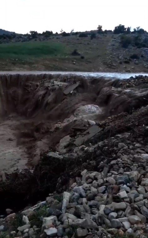 Sel Sularında Mahsur Kalan Tilkinin 11 Dakikalık Yaşam Mücadelesi