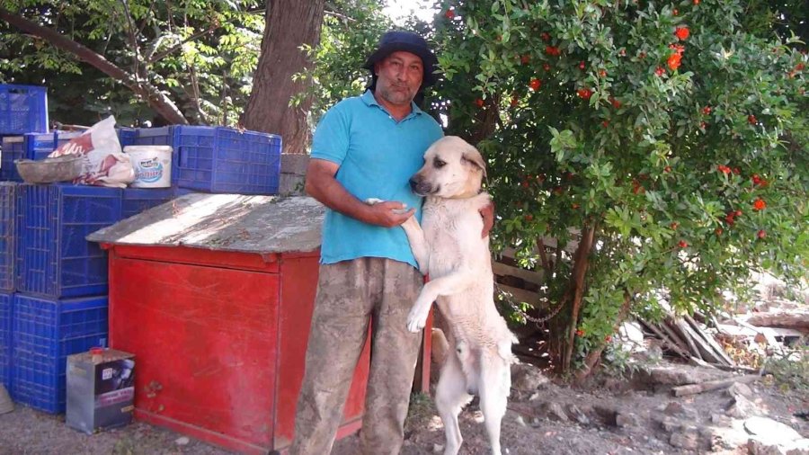 Hırsızlığa Karşı Tabanca Resimli, "biz 112’yi Aramayız" Önlemi