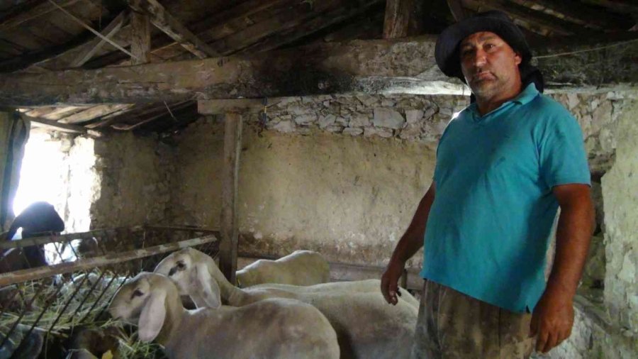 Hırsızlığa Karşı Tabanca Resimli, "biz 112’yi Aramayız" Önlemi