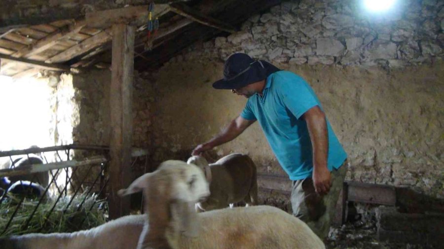 Hırsızlığa Karşı Tabanca Resimli, "biz 112’yi Aramayız" Önlemi