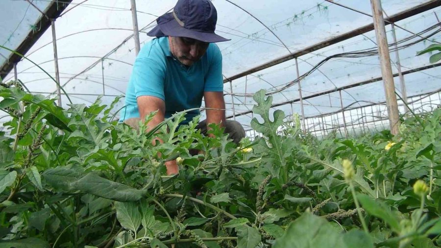 Hırsızlığa Karşı Tabanca Resimli, "biz 112’yi Aramayız" Önlemi