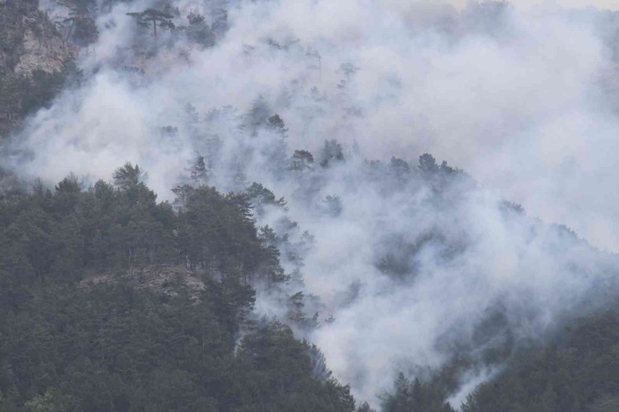 Antalya’da Dün Başlayan Yangın Bugün Kontrol Altına Alındı