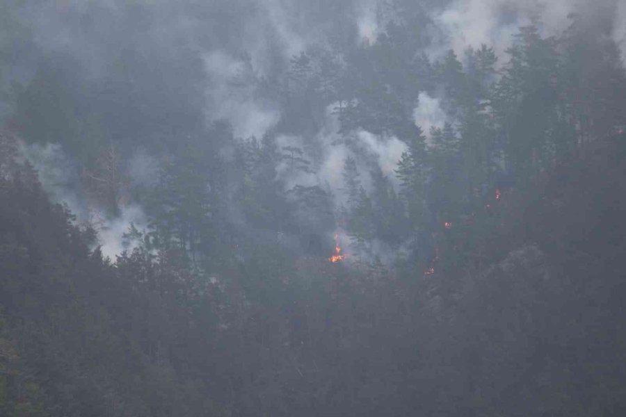 Antalya’da Dün Başlayan Yangın Bugün Kontrol Altına Alındı