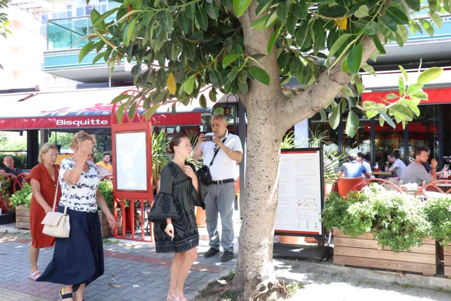 Çocuklarını Öldüren Ukraynalı Baba Tutuklandı