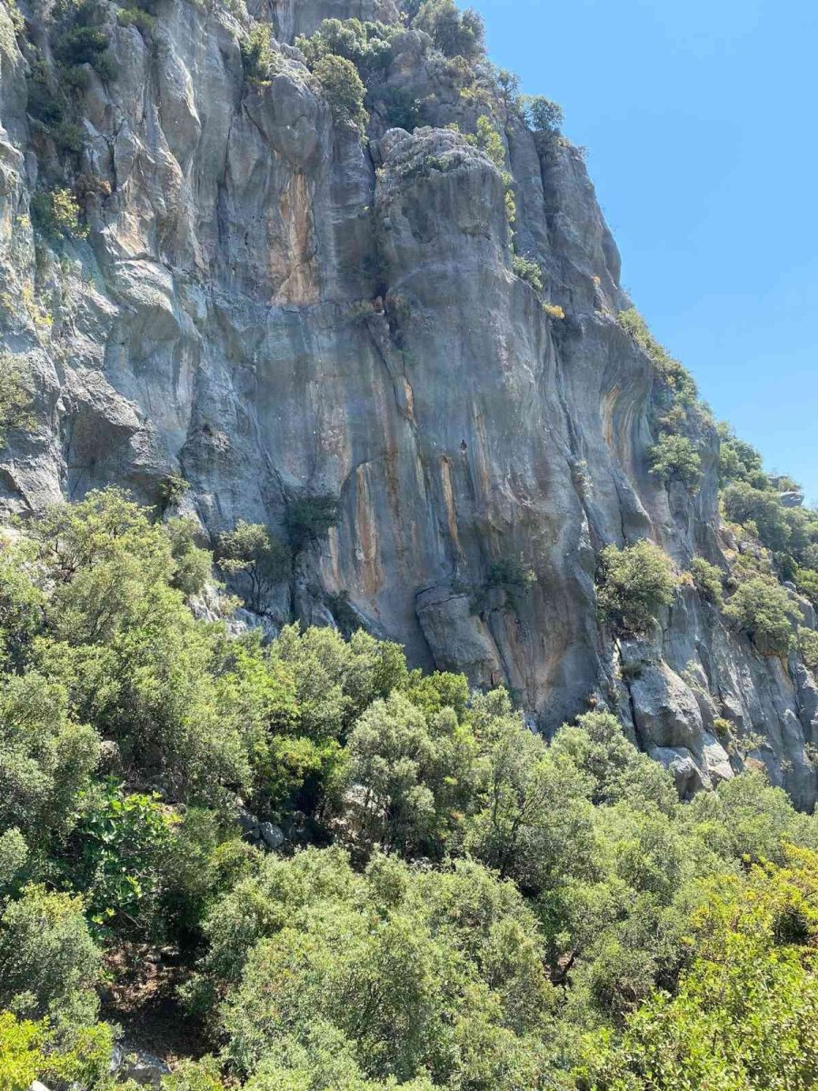 Dağda Mahsur Kalan Keçi 6 Saatlik Çalışmayla Kurtarıldı