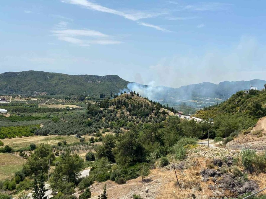 Antalya’da Orman Yangını Büyümeden Söndürüldü
