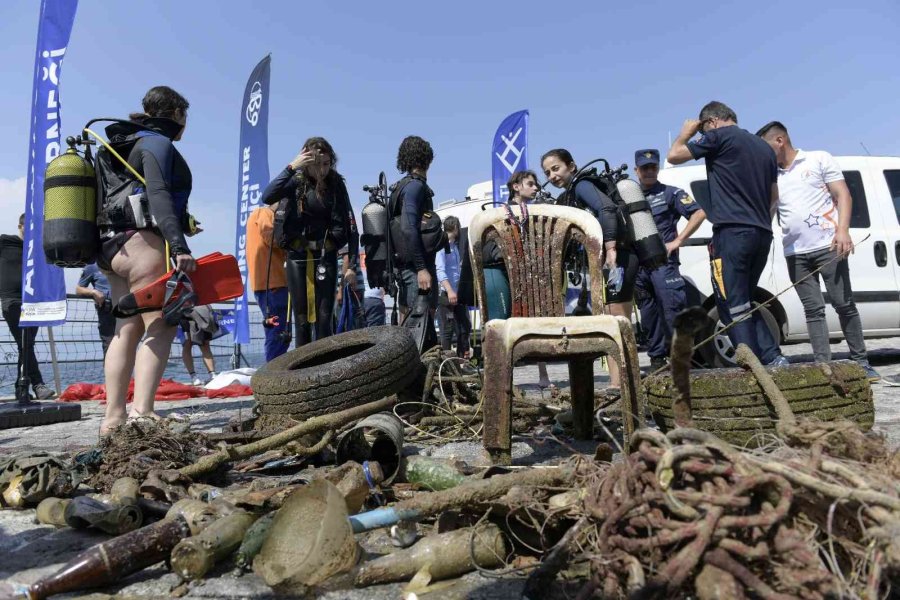 Deniz Dibi Temizliğinde Cam Bardağa Yuva Yapan Ahtapot Çıktı