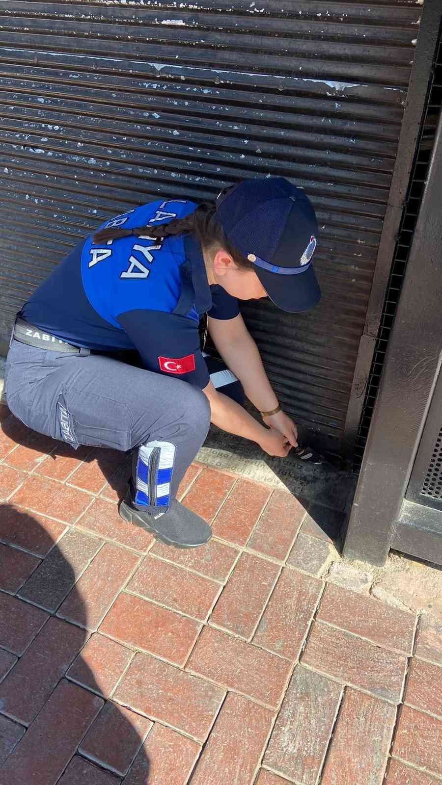 Alanya’da Çığırtkanlık Ve Hanutçuluk Yapan 5 İşyeri Mühürlendi