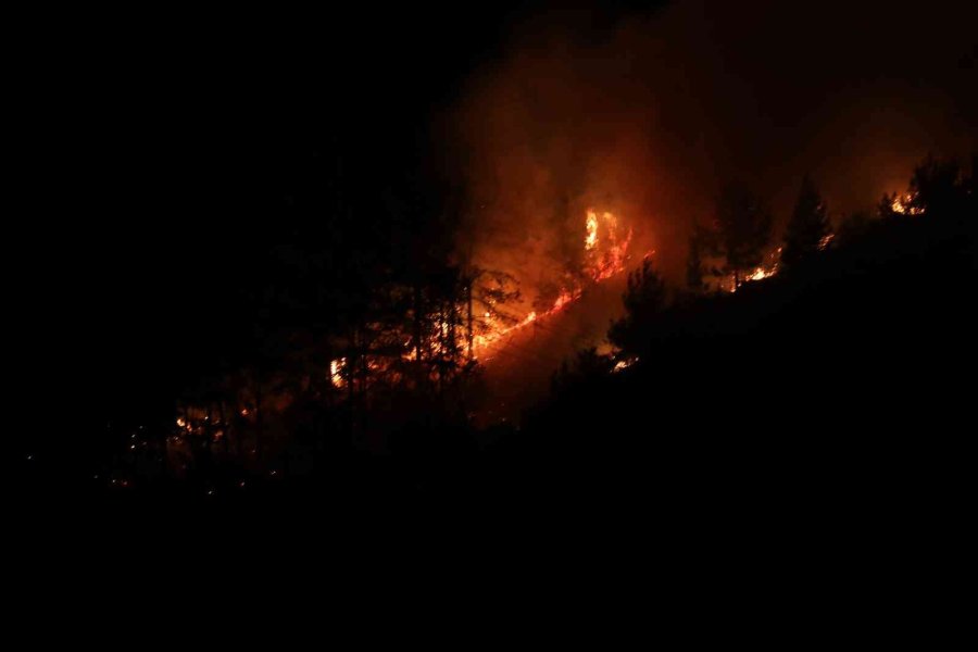 Alanya’da Orman Yangınında 3 Dekar Alan Zarar Gördü