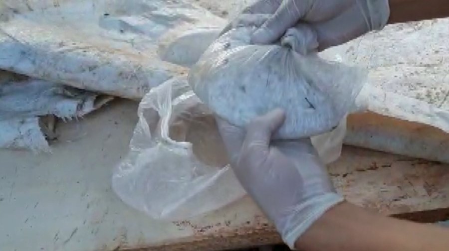 Köpek Kulübesinden Bile Uyuşturucu Çıktı