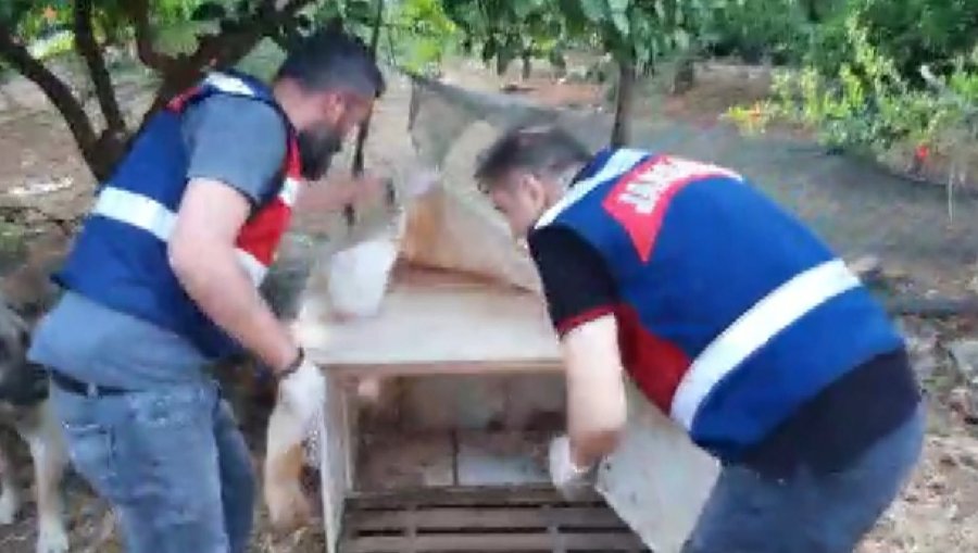 Köpek Kulübesinden Bile Uyuşturucu Çıktı