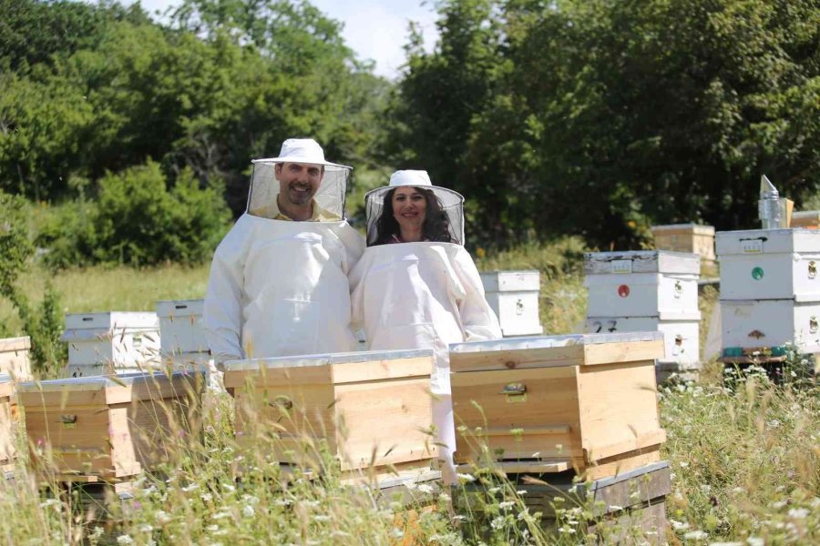 Dünya Arıcıları Ve Bilim İnsanları Türkiye’de Bir Araya Geliyor