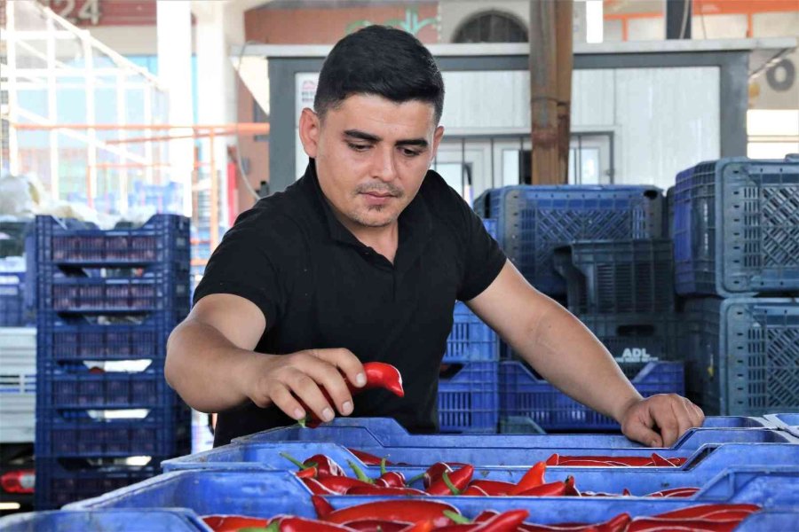 Havaların Isındığı Antalya Halinde Sebze Fiyatları Geçen Haftalara Göre Yarı Yarıya Düştü