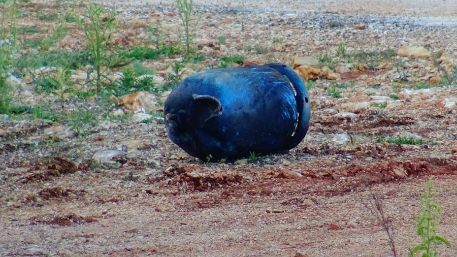Devrilen Kamyonetteki Tüpler Bomba Gibi Patladı: 2 Yaralı