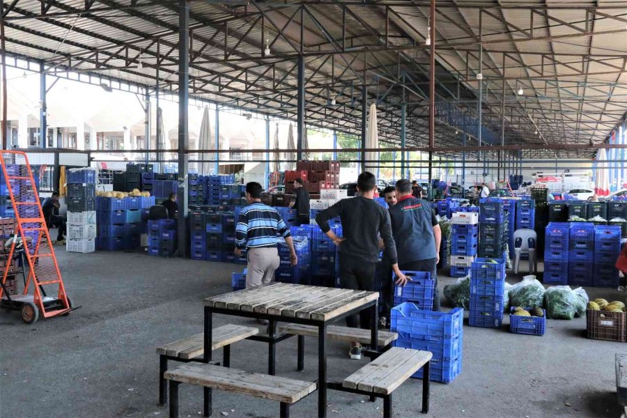 Havaların Isındığı Antalya Halinde Sebze Fiyatları Geçen Haftalara Göre Yarı Yarıya Düştü