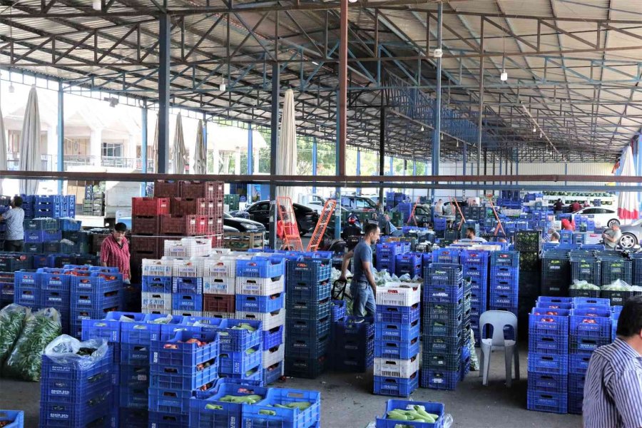 Havaların Isındığı Antalya Halinde Sebze Fiyatları Geçen Haftalara Göre Yarı Yarıya Düştü