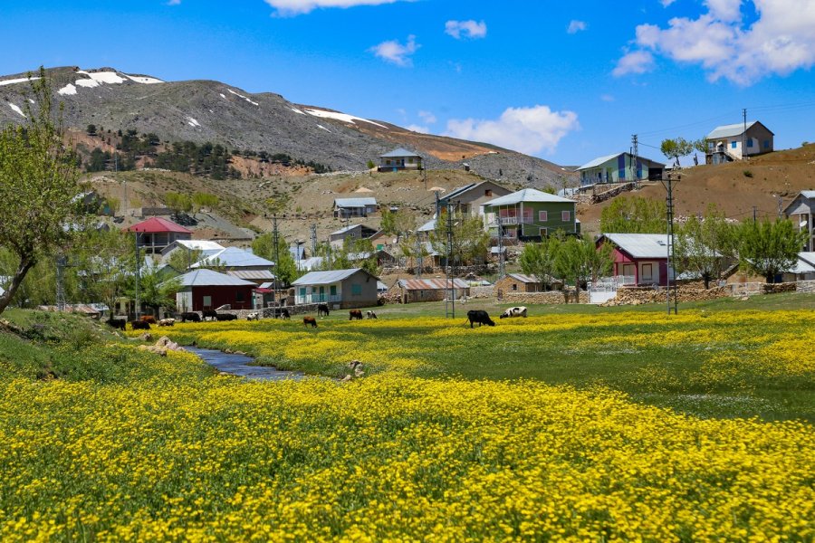Toros Dağlarındaki Yaylalar Baharın Tüm Güzelliklerini Sunuyor