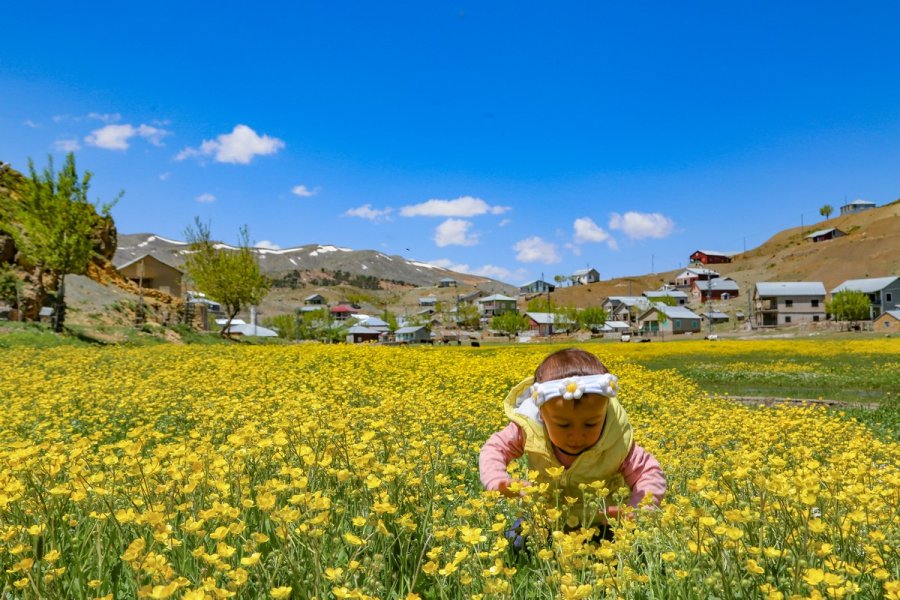 Toros Dağlarındaki Yaylalar Baharın Tüm Güzelliklerini Sunuyor
