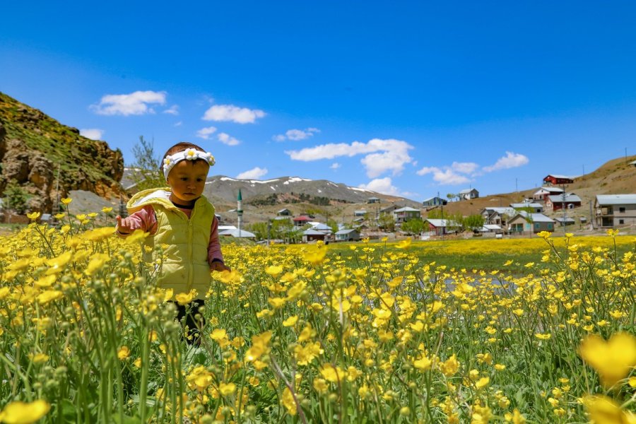 Toros Dağlarındaki Yaylalar Baharın Tüm Güzelliklerini Sunuyor