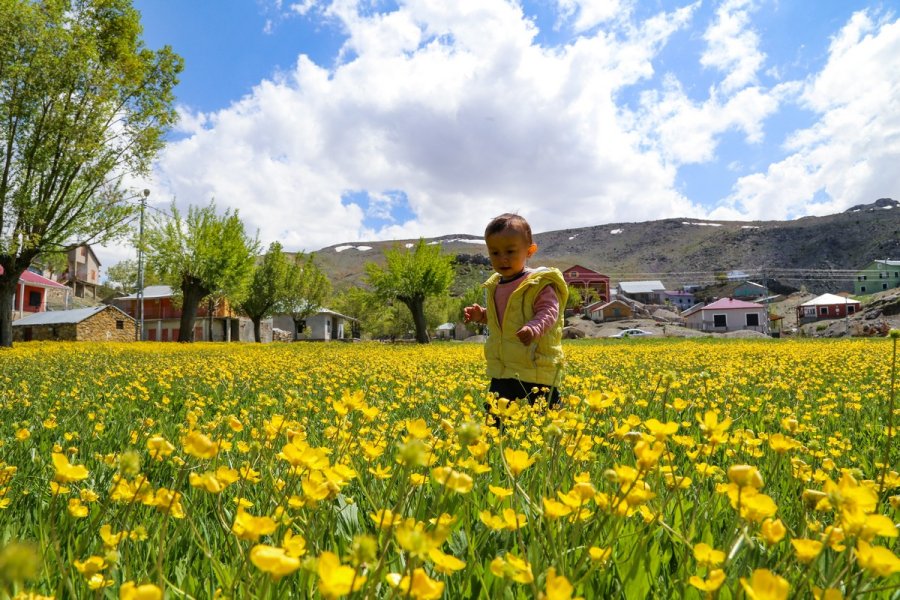 Toros Dağlarındaki Yaylalar Baharın Tüm Güzelliklerini Sunuyor