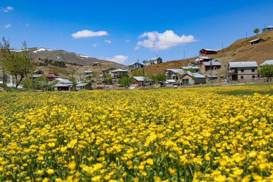 Toros Dağlarındaki Yaylalar Baharın Tüm Güzelliklerini Sunuyor
