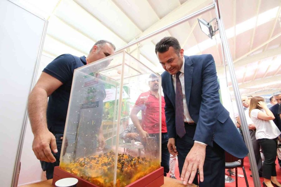 Kaş Tarım Sergisi Açıldı