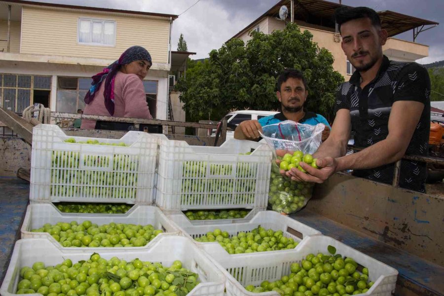 Büyükşehir Belediyesinden Mut’a Bir Erik Boylama Makinesi Daha