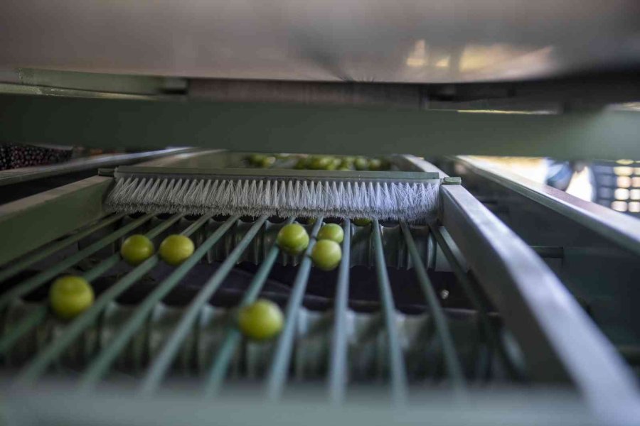 Büyükşehir Belediyesinden Mut’a Bir Erik Boylama Makinesi Daha