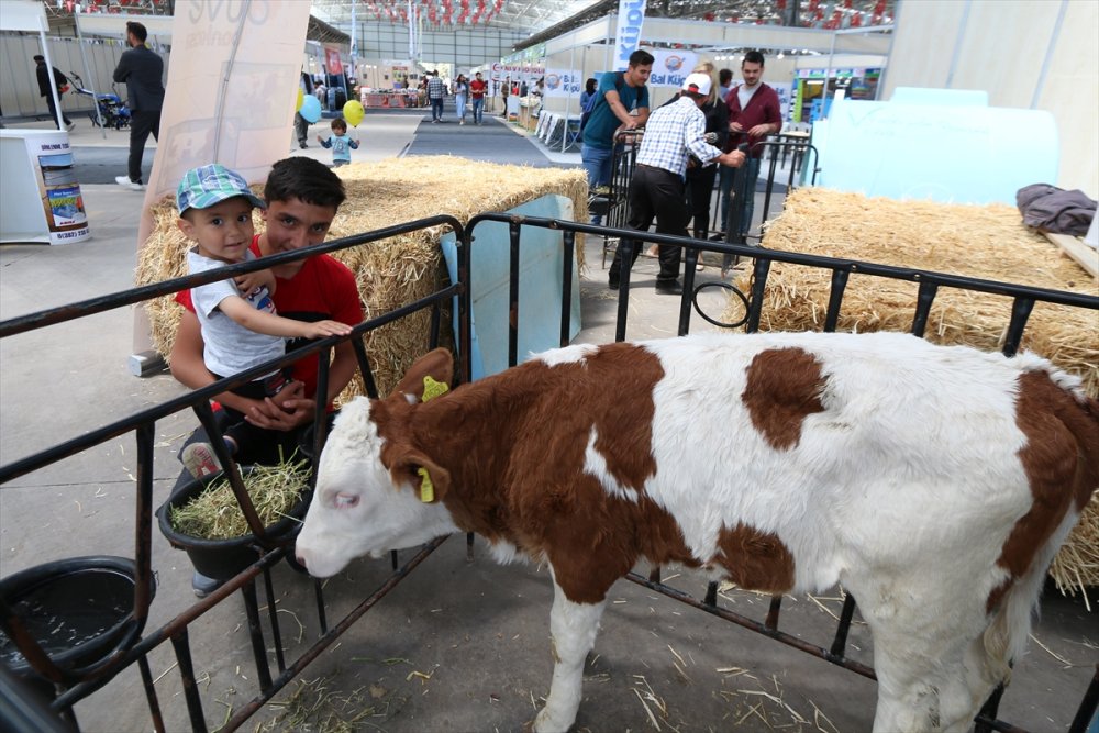 Aksaray'da Tarım, Hayvancılık Fuarı