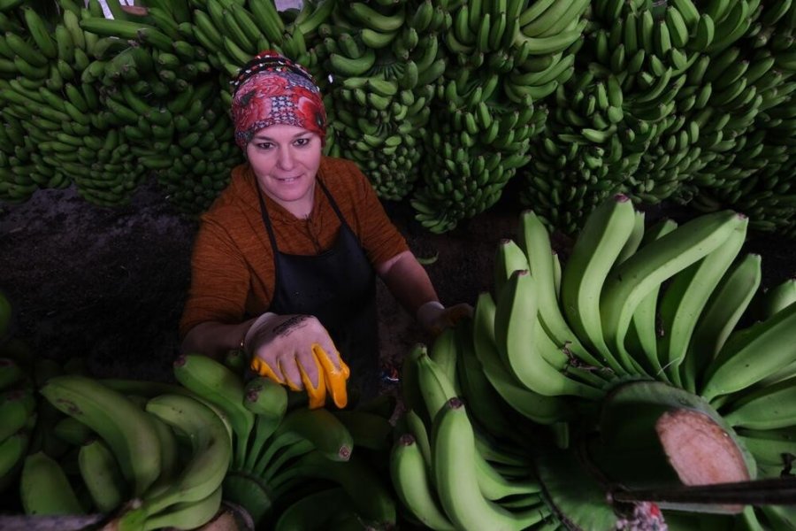 Alanya Belediyesi 16’ncı Uluslararası Fotoğraf Yarışması Sonuçlandı