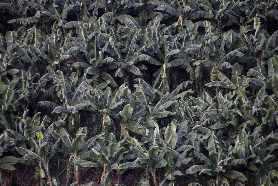 Alanya Belediyesi 16’ncı Uluslararası Fotoğraf Yarışması Sonuçlandı