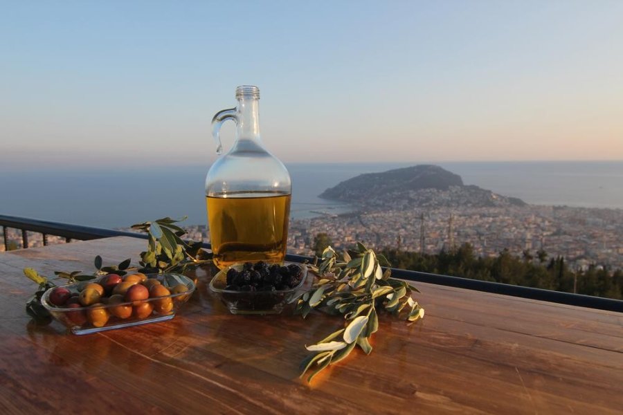 Alanya Belediyesi 16’ncı Uluslararası Fotoğraf Yarışması Sonuçlandı