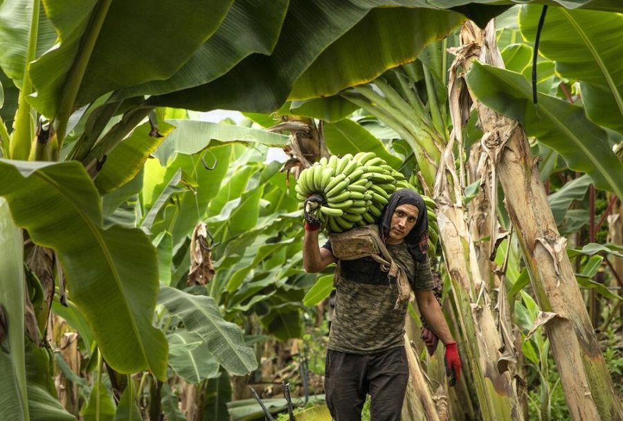 Alanya Belediyesi 16’ncı Uluslararası Fotoğraf Yarışması Sonuçlandı