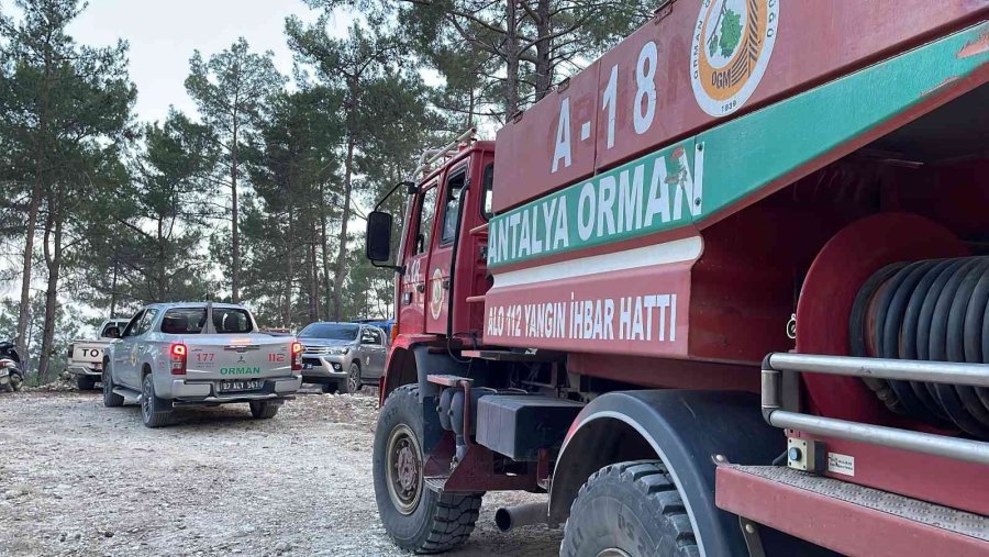 Alanya’da Orman Yangınında 5 Dönüm Alan Zarar Gördü