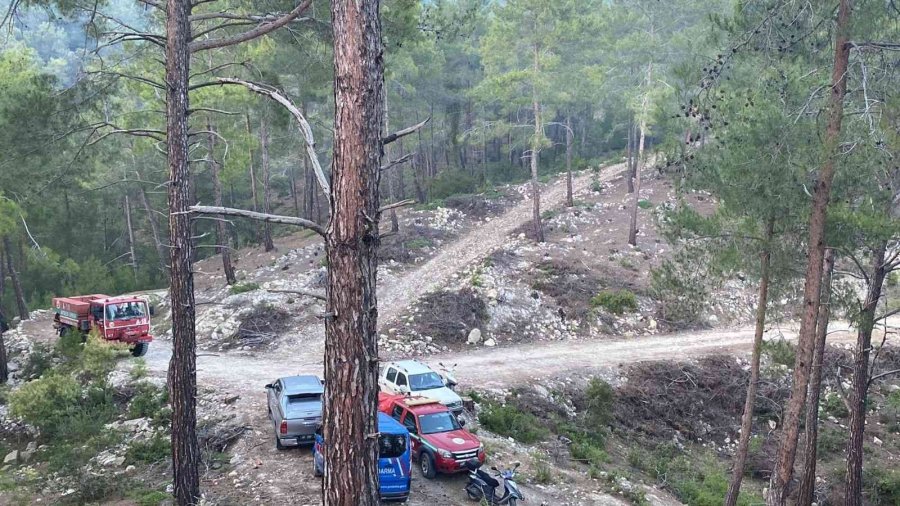 Alanya’da Orman Yangınında 5 Dönüm Alan Zarar Gördü