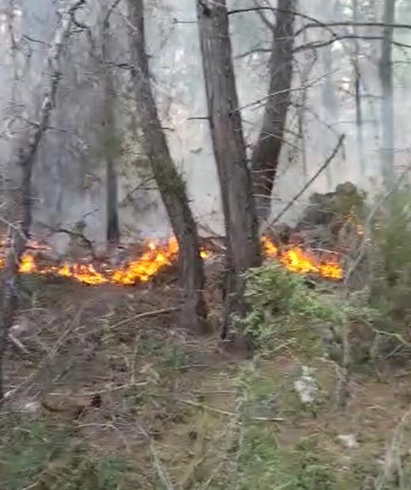 Alanya’da Orman Yangınında 5 Dönüm Alan Zarar Gördü