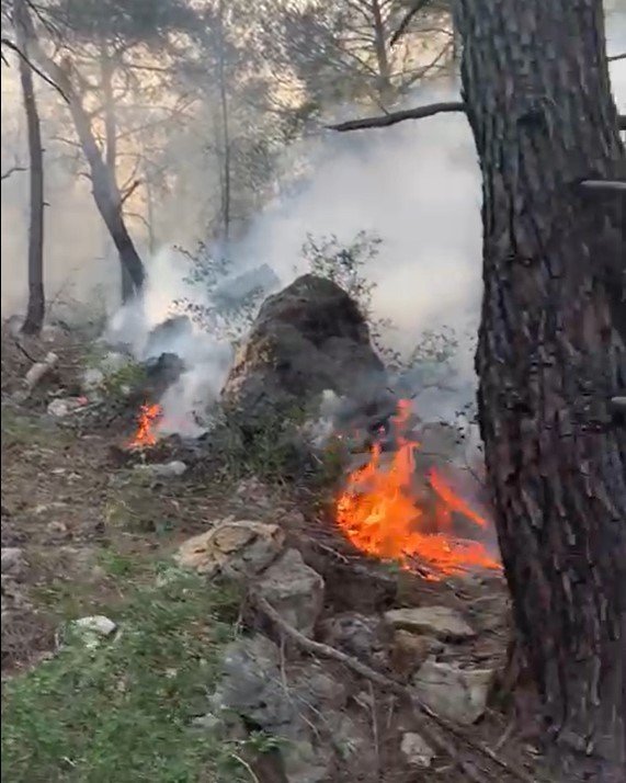 Alanya’da Orman Yangınında 5 Dönüm Alan Zarar Gördü