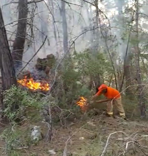 Alanya’da Orman Yangınında 5 Dönüm Alan Zarar Gördü