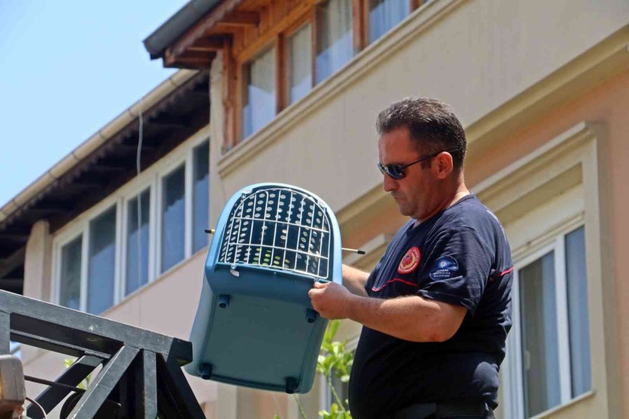 Antalya’da İkiz Kız Kardeşleri Önce Sevinç Sonra Korku Gözyaşına Boğan Kedi Kurtarma Operasyonu