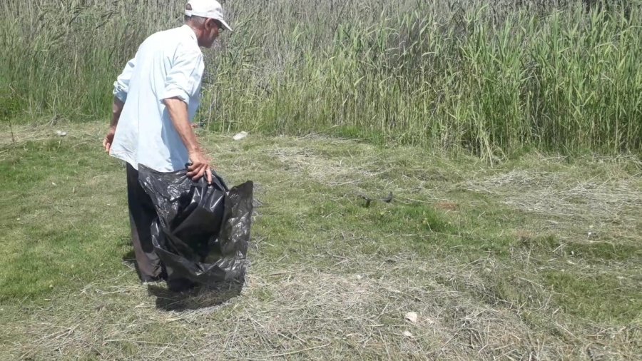 Sahile Yakın Bölgedeki Yılan Kurtarılıp Doğaya Bırakıldı
