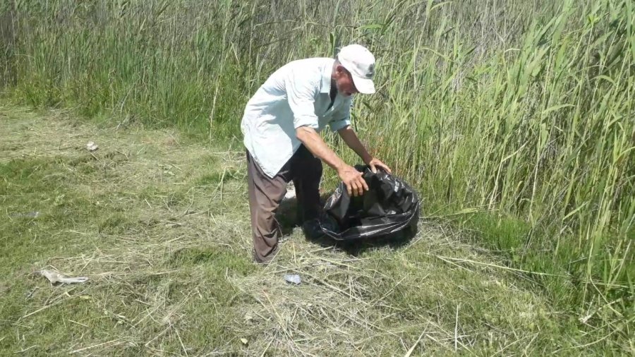 Sahile Yakın Bölgedeki Yılan Kurtarılıp Doğaya Bırakıldı