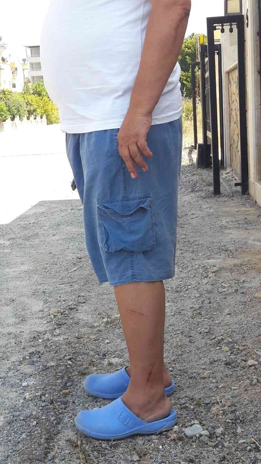 Bozyazı’da Sokak Köpekleri Tehlike Saçıyor