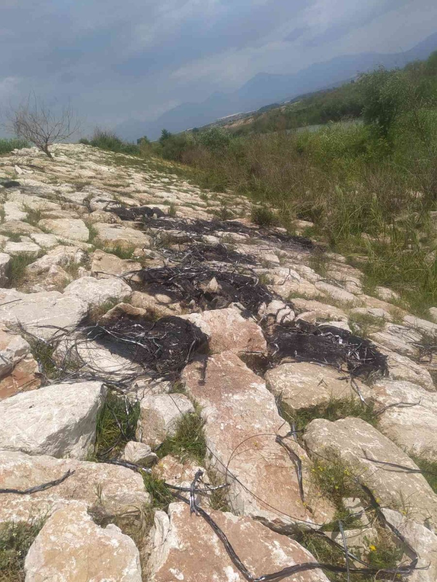 5 Farklı Kablo Hırsızlığının 2 Şüphelisi Yakalandı